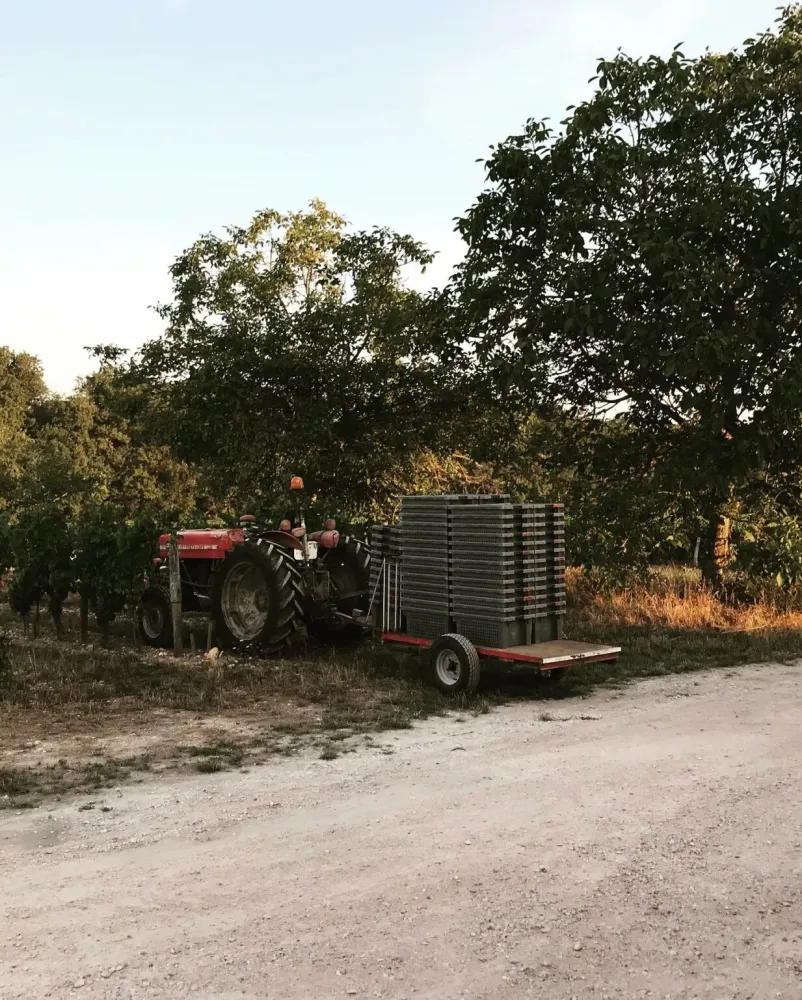 histoire du domaine (2)