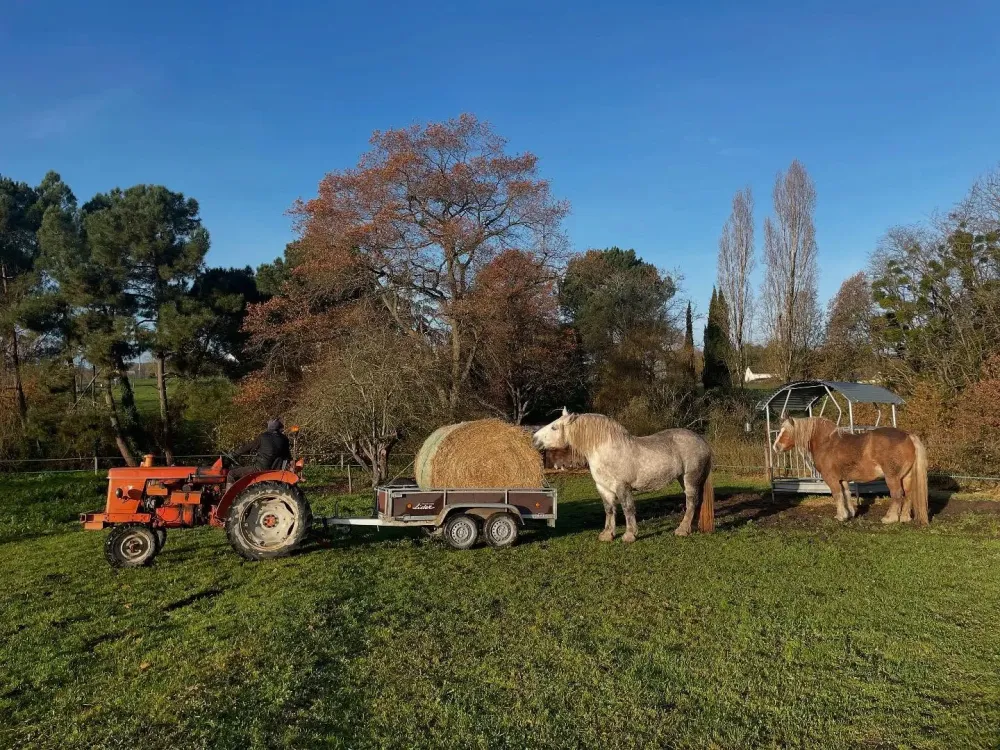 histoire du domaine (1)