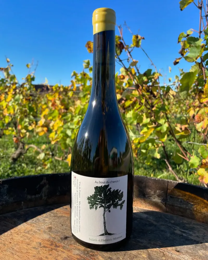 Vins blancs à Francueil