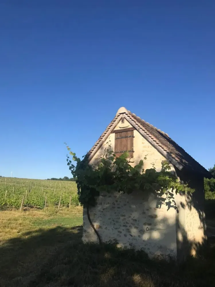 domaine du cambalu (4)